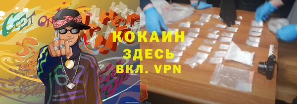 гидра Лагань