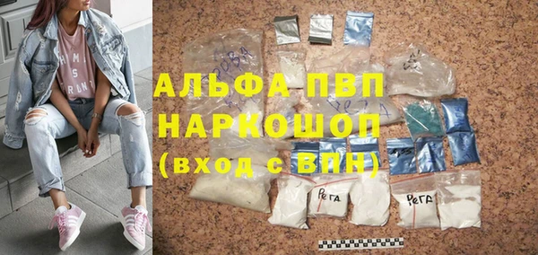 прущие грибы Магас