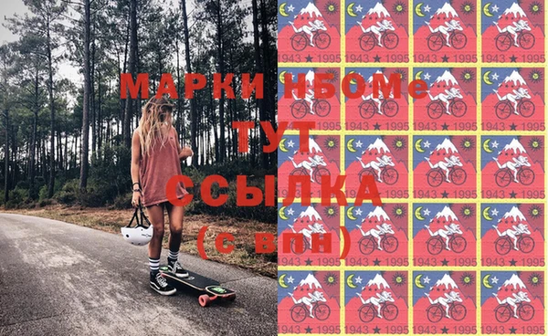 шишки Чердынь
