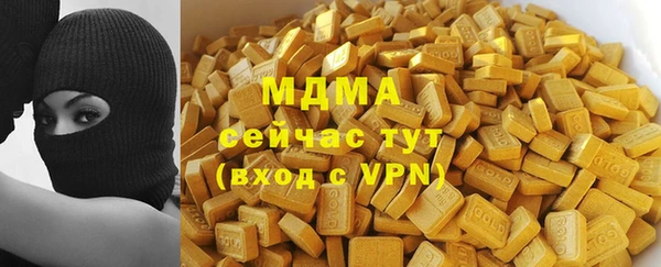 шишки Чердынь
