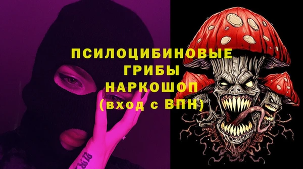 шишки Чердынь