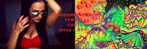 шишки Чердынь