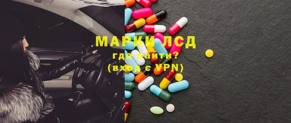 прущие грибы Магас