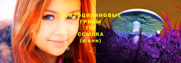 ALPHA-PVP Чегем